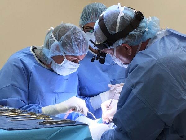 Tips to Speed Your Pet’s Healing Time After Surgery