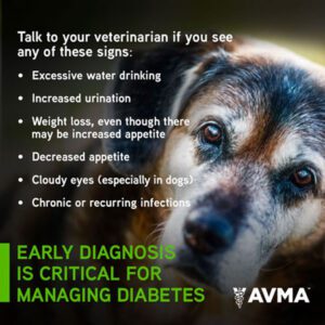 The signs your pet might diabetes from AVMA.org
