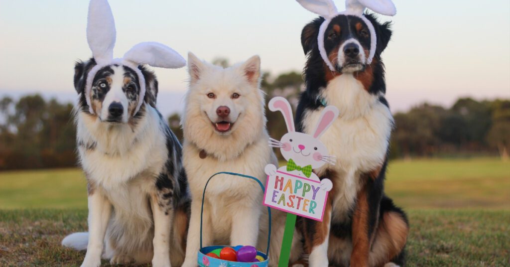 Pet Easter Safety Tips