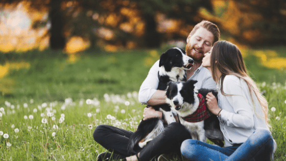 Pet Insurance Virginia Woodbridge Best Pet Boarding