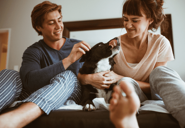 Cove Keeping Pets Safe At Home
