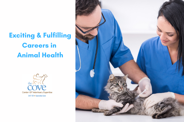 Cove Learn About Exciting And Fulfilling Careers In Animal Health