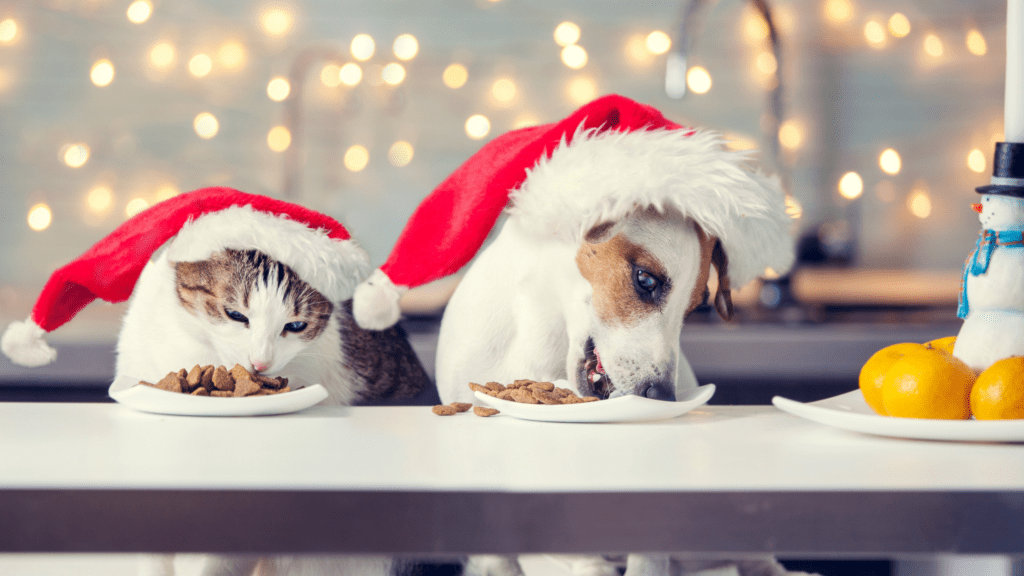 Pet Safe Holiday Treats