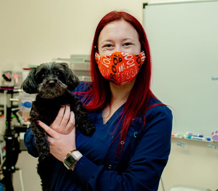 Holding Dog With Mask Holding Dog With Mask