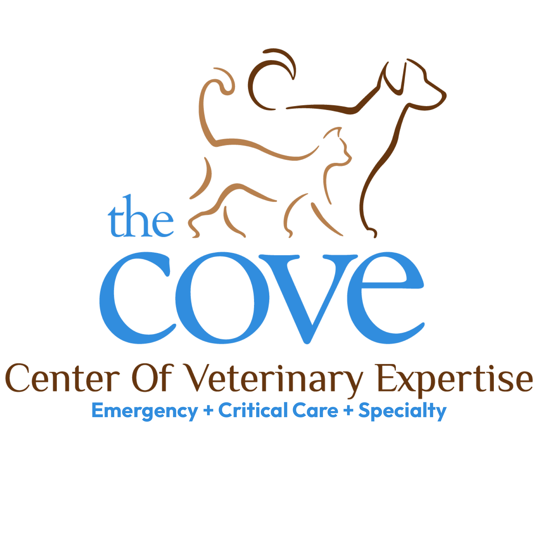 COVE Logo