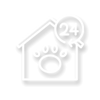pet wellness icon