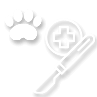 icon showing pet surgery