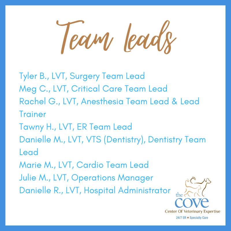 team-lead-card-1